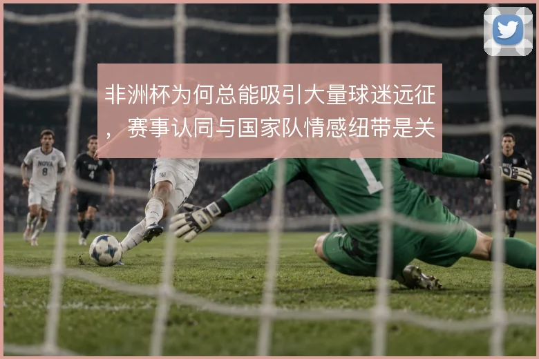 非洲杯为何总能吸引大量球迷远征,赛事认同与国家队情感纽带是关键