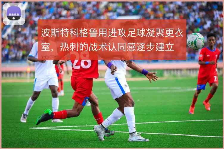 波斯特科格鲁用进攻足球凝聚更衣室,热刺的战术认同感逐步建立